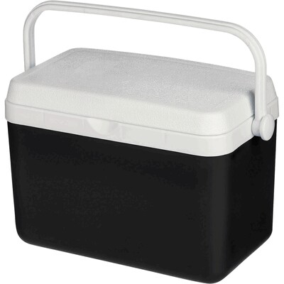 Cool box 4 l